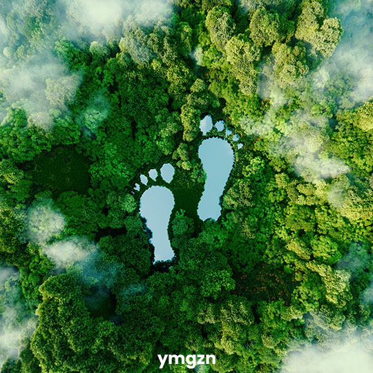 YOUnited Magazin Thema Nachhaltigkeit & Bio